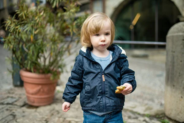 Aranyos Kisgyerek Sétál Bergamo Utcáin Kisgyermek Szórakozás Felfedezés Citta Alta — Stock Fotó