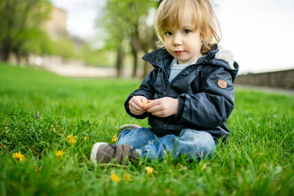 Милый Малыш Играющий Траве Бергамо Маленький Ребенок Весело Проводит Время — стоковое фото