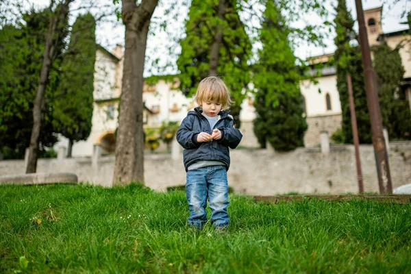 ベルガモの芝生で遊んでいるかわいい幼児の少年 ベルガモの上部地区のシッタ アルタで楽しい探検をしている小さな子供 ベルガモ ロンバルディア イタリア — ストック写真