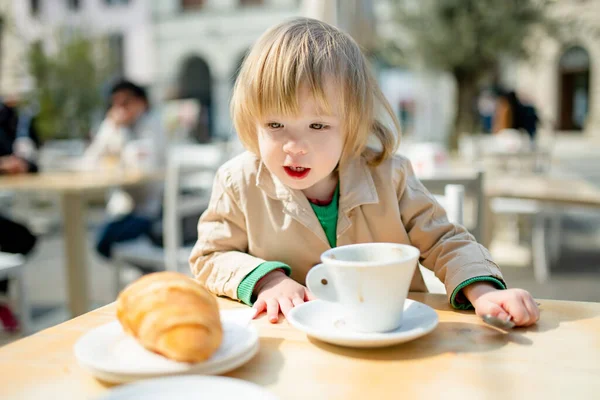 Cute Maluch Chłopiec Gorącej Czekolady Kawiarni Świeżym Powietrzu Małe Dziecko — Zdjęcie stockowe
