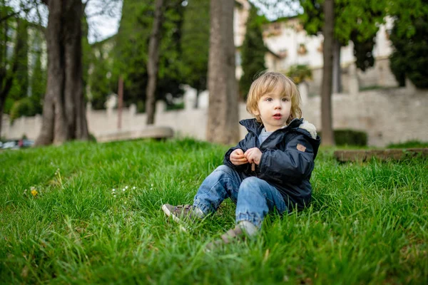 ベルガモの芝生で遊んでいるかわいい幼児の少年 ベルガモの上部地区のシッタ アルタで楽しい探検をしている小さな子供 ベルガモ ロンバルディア イタリア — ストック写真
