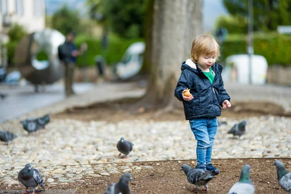 可爱的蹒跚学步的男孩在Bergamo狭窄的街上喂鸽子 在Bergamo的上城区Citta Alta探险的小孩很开心 意大利伦巴第Bergamo — 图库照片