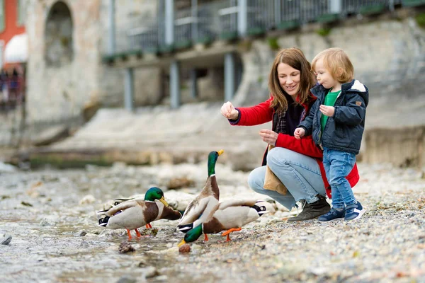 Mother Her Toddler Son Feeding Ducks Varenna One Most Picturesque — Stock Photo, Image