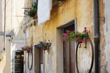 Ünlü Pitigliano kasabasının dar eski sokaklarında, volkanik bir tufa sırtının tepesinde bulunan çiçekler. Güzel İtalyan kasabaları ve köyleri. Etrüsk mirası, Grosseto, Toskana, İtalya.