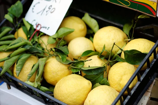 Färska Ekologiska Citroner Säljs Lantbruksmarknad Italienska Staden Sommardagen — Stockfoto