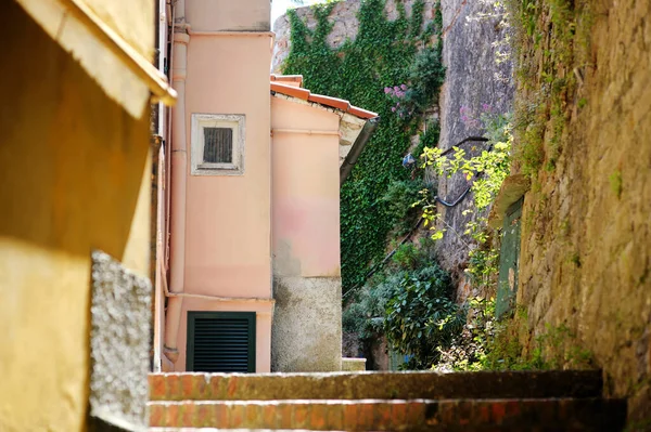 Manarola Nın Dar Sokakları Talya Riviera Liguria Talya Nın Engebeli — Stok fotoğraf