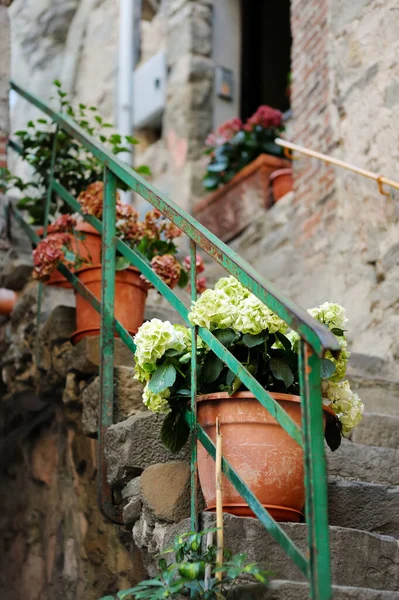 Beautiful Flower Pots Street Manarola Nestled Middle Five Centuries Old — Stock Photo, Image