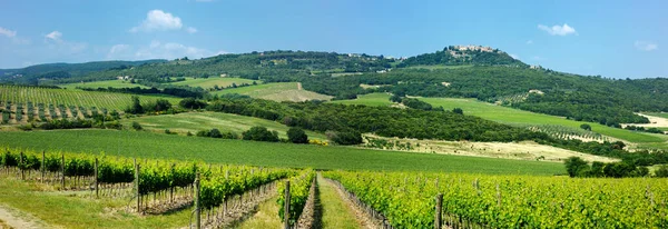 Prachtig Uitzicht Wijngaarden Landerijen Met Kleine Dorpjes Aan Horizon Zomer — Stockfoto