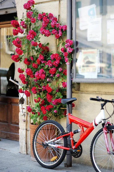 Bicicleta Roja Rosas Florecientes Antigua Calle Famosa Ciudad Pitigliano Situada —  Fotos de Stock