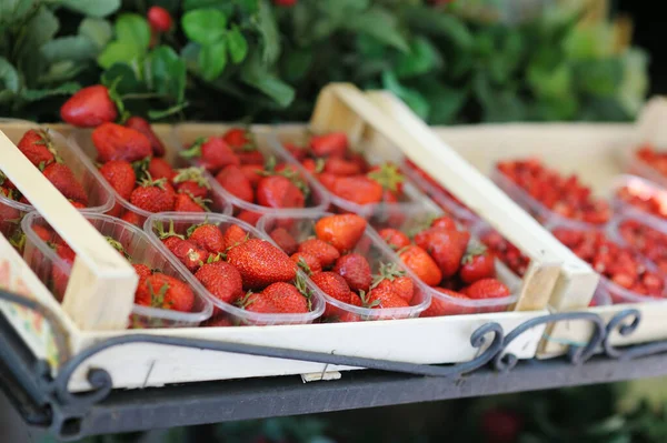 Φρέσκες Φράουλες Που Πωλούνται Στην Αγορά Των Αγροτών Στην Πόλη — Φωτογραφία Αρχείου