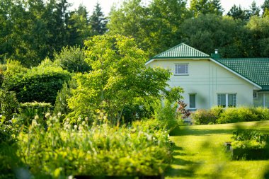Ağaçlarla dolu güzel yeşil bir bahçe, dekoratif bitkiler ve arka planda büyük beyaz bir ev ile çiçek açan çiçekler. Arka bahçede güzel bir yaz günü.