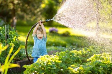 Cute toddler boy watering flower beds in the garden at summer day. Child using garden hose to water vegetables. Kid helping with everyday chores. Mommys little helper.