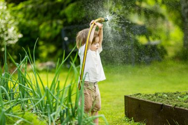 Cute toddler boy watering flower beds in the garden at summer day. Child using garden hose to water vegetables. Kid helping with everyday chores. Mommys little helper.