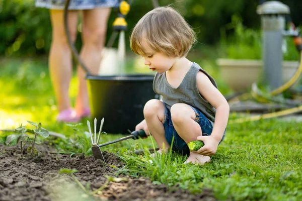 Leuke Peuter Jongen Helpen Tuin Zonnige Zomerdag Kind Dat Natuur — Stockfoto