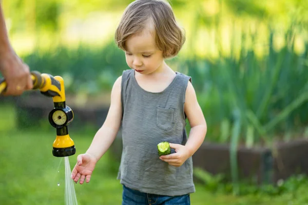 Cute Maluch Chłopiec Pomaga Ogrodzie Słoneczny Letni Dzień Dziecko Odkrywające — Zdjęcie stockowe