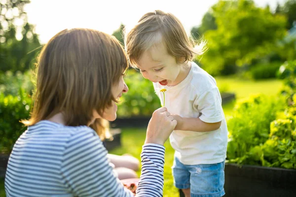 Leuke Grote Zus Knuffelend Met Haar Peuter Broer Schattig Tienermeisje — Stockfoto