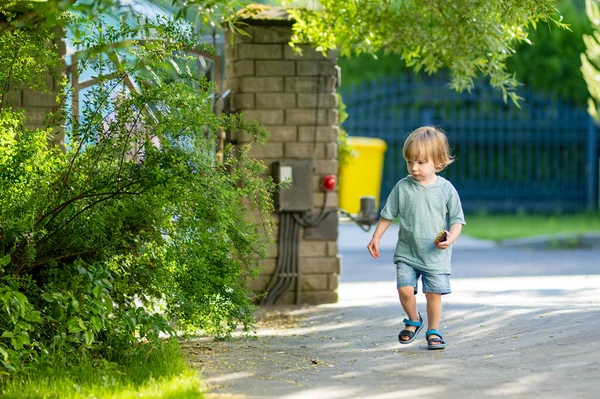 可爱的蹒跚学步的男孩在阳光灿烂的夏日户外玩得很开心 儿童探索自然 幼儿暑期活动 — 图库照片