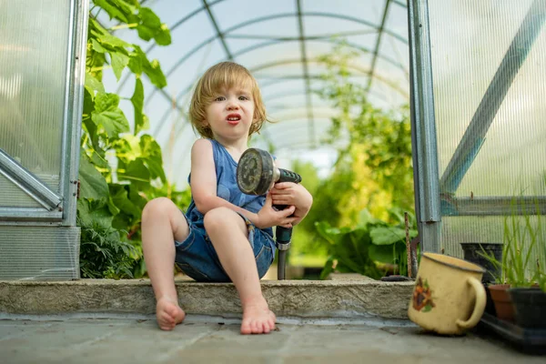 Söta Småbarn Pojke Som Har Roligt Ett Växthus Solig Sommardag — Stockfoto