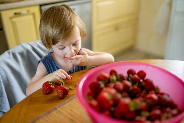 Söt Liten Pojke Som Äter Jordgubbar Hemma Färsk Ekologisk Frukt — Stockfoto