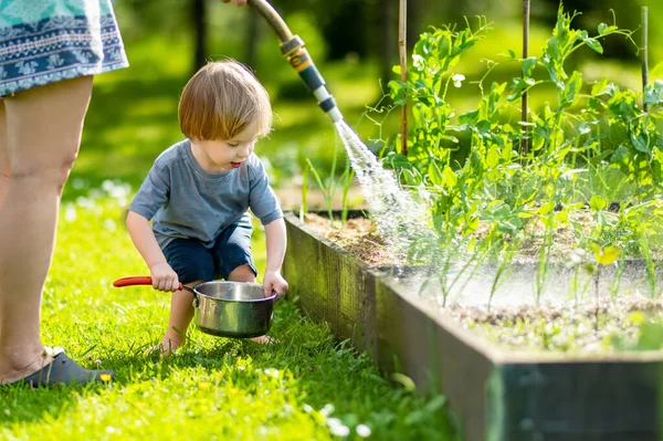 Söta Blonda Små Småbarn Vattna Växter Med Kokkärl Utomhus Trädgården — Stockfoto