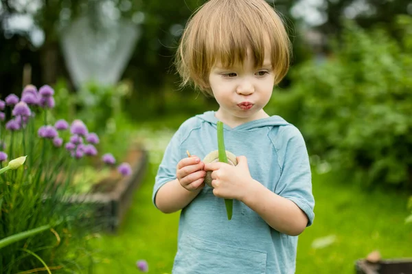 Adorable Toddler Boy Having Fun Outdoors Sunny Summer Day Child — Stock Photo, Image