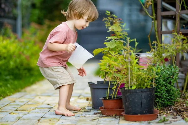 Aranyos Szőke Kisbaba Öntözőnövényeket Használ Öntözőedénnyel Kertben Gyerek Segít Szülők — Stock Fotó