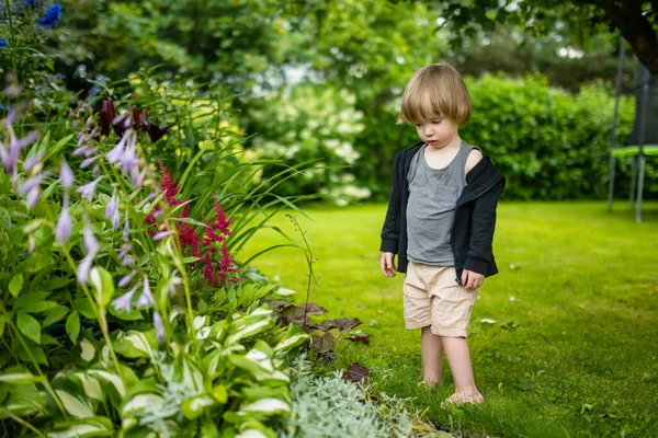 晴れた夏の日に屋外で楽しんでいる愛らしい幼児の少年 子供は自然を探索する 小さな子供のための夏の活動 — ストック写真