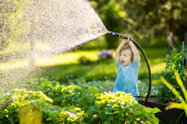 Cute Toddler Boy Watering Flower Beds Garden Summer Day Child — Foto Stock