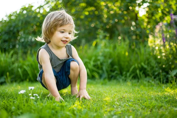 Adorable Niño Que Divierte Aire Libre Soleado Día Verano Niño —  Fotos de Stock