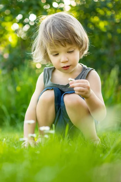 可爱的蹒跚学步的男孩在阳光灿烂的夏日户外玩得很开心 儿童探索自然 幼儿暑期活动 — 图库照片