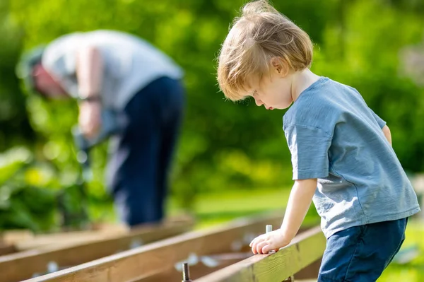 Menino Bonito Ajudar Avô Senior Trabalhando Projeto Seu Jardim Homem — Fotografia de Stock