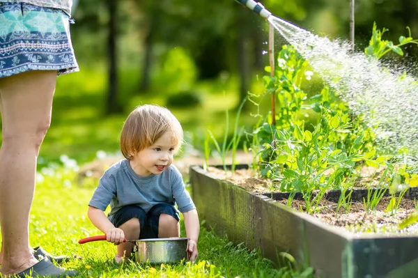 Bonito Loiro Pequena Criança Regar Plantas Usando Panela Cozinha Livre — Fotografia de Stock