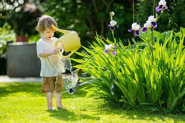 Söta Blonda Små Småbarn Vattna Växter Med Hjälp Vattning Kruka — Stockfoto