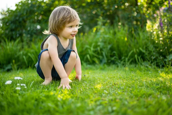 Menino Adorável Criança Divertindo Livre Dia Ensolarado Verão Criança Explorando — Fotografia de Stock