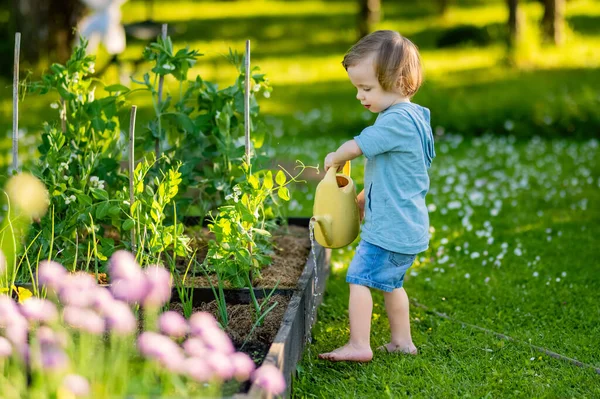 Милый Блондинчик Поливает Растения Поливая Горшок Открытом Воздухе Саду Ребенок — стоковое фото