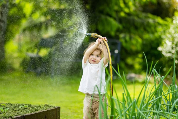 Cute Toddler Boy Watering Flower Beds Garden Summer Day Child — Stock Photo, Image