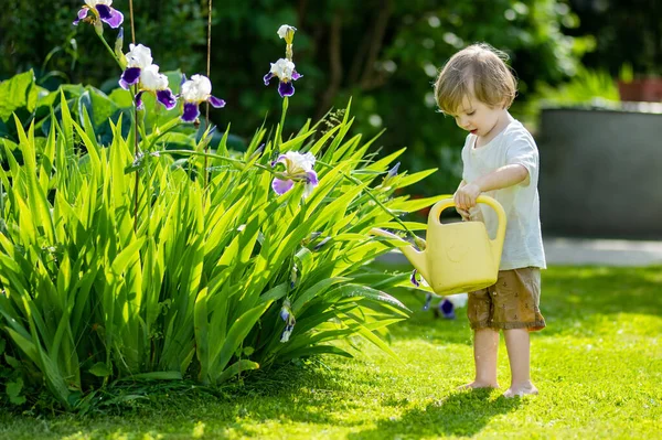 可爱的金发碧眼的小宝宝在花园里用水壶浇灌植物 在阳光灿烂的夏日 孩子们在后院帮父母种花 — 图库照片