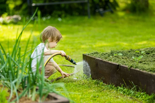Cute Toddler Boy Watering Flower Beds Garden Summer Day Child —  Fotos de Stock