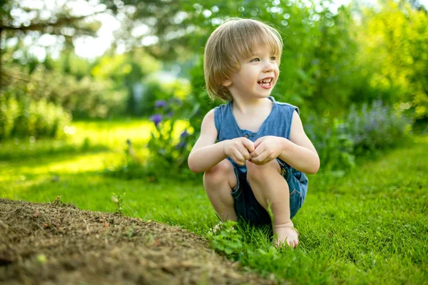 Uroczy Chłopczyk Bawiący Się Świeżym Powietrzu Słoneczny Letni Dzień Dziecko — Zdjęcie stockowe