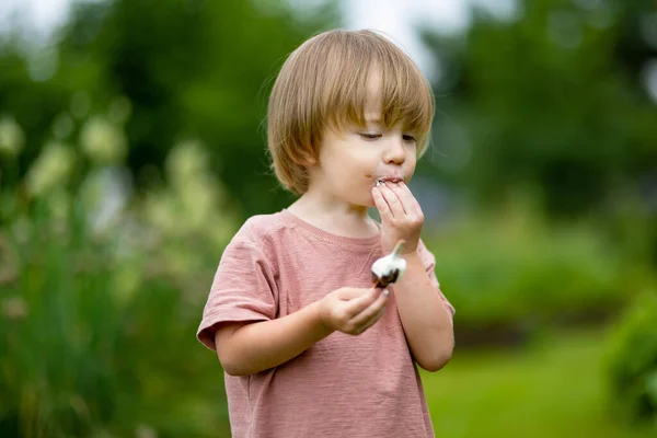 かわいい幼児の男の子は暖かい晴れた夏の日に屋外でおいしい新鮮なアイスクリームを食べています 子供はお菓子を食べる 子供のための不健康な食べ物 — ストック写真