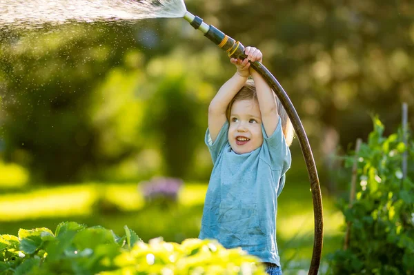 Cute Toddler Boy Watering Flower Beds Garden Summer Day Child — стоковое фото