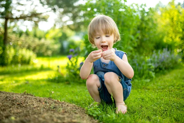 스러운 갓난아기가 여름날 밖에서 재미있게 아이들은 자연을 합니다 아이들을 — 스톡 사진