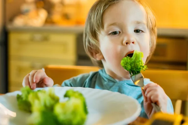 Bonito Menino Criança Comendo Brócolis Primeiros Alimentos Sólidos Legumes Orgânicos — Fotografia de Stock