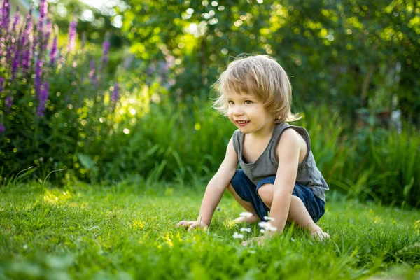 스러운 갓난아기가 여름날 밖에서 재미있게 아이들은 자연을 합니다 아이들을 — 스톡 사진