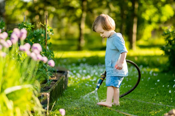 Милий Маленький Хлопчик Поливає Клумби Саду Літній День Дитина Використовує — стокове фото