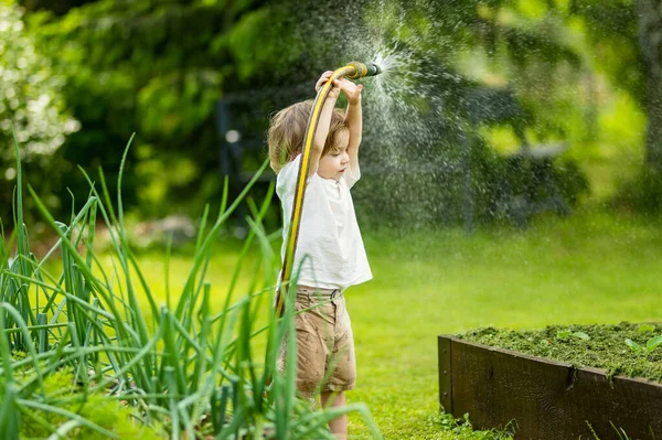 Cute Toddler Boy Watering Flower Beds Garden Summer Day Child — стоковое фото