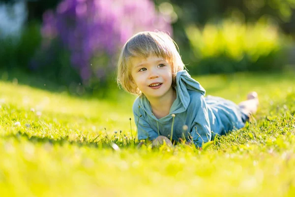 Очаровательный Малыш Веселится Свежем Воздухе Солнечный Летний День Дети Изучают — стоковое фото