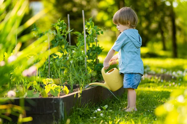 Cute Blond Little Toddler Watering Plants Using Watering Pot Outdoors — Stock Photo, Image