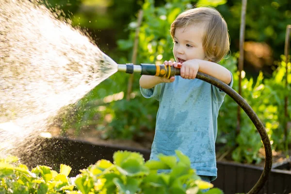Cute Toddler Boy Watering Flower Beds Garden Summer Day Child — Foto de Stock