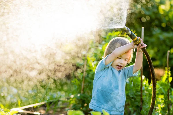 Anak Kecil Yang Lucu Menyiram Bunga Kebun Saat Musim Panas — Stok Foto